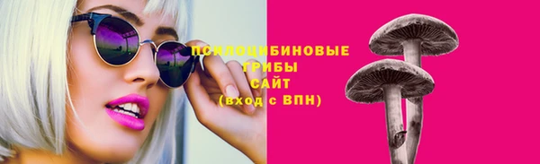 СК Арсеньев