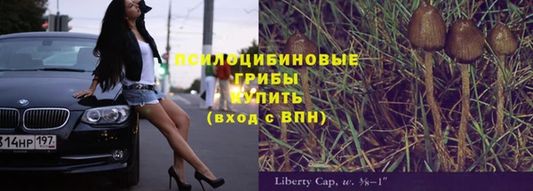 мяу мяу мука Армянск
