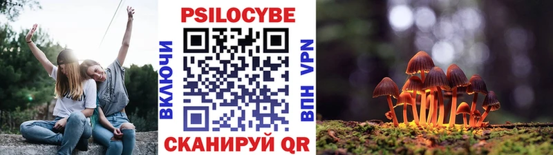 hydra сайт  Суворов  Псилоцибиновые грибы GOLDEN TEACHER 