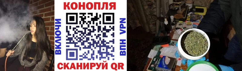 где купить наркоту  Суворов  Канабис Ganja 